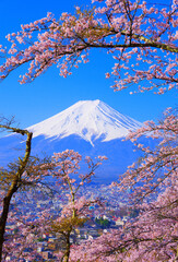 20220412富士吉田市・富士見孝徳公園の桜と富士山