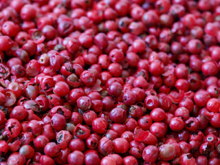 texture of dried pink peppercorn close-up, spice or seasoning as background. Dry berries of Schinus molle or Schinus terebinthifolius. Food background, full frame, copy space