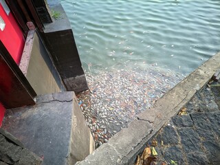 POLDER TAWANG IN AREA the heritage building, Tawang Station, the Old City of Semarang, Indonesia which is still used as the main train station on the island of Java
