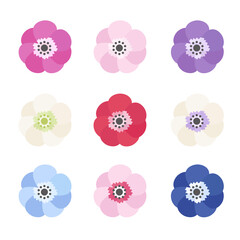 アネモネのイラストのバリエーションセット