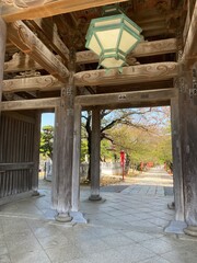 Temple gate of Japan, Chiba prefecture, "Nakayama Sandozan Mon" "Hokekyo Temple", end of sakura season spring 2022