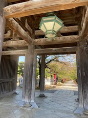 Temple gate of Japan, Chiba prefecture, "Nakayama Sandozan Mon" "Hokekyo Temple", end of sakura season spring 2022