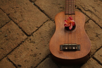 ukulele con flores de plumeria rubra guiechachi