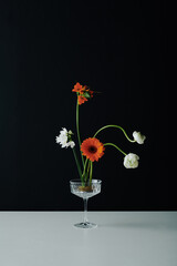 Vertical unusual still life composition of beautiful flowers in coupe glass on gray table surface against black wall background
