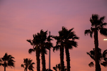 SoCal Sunsets in Redondo Beach