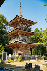 寺院と五重塔と薬師如来像