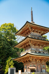 Fototapeta premium 寺院と五重塔と薬師如来像
