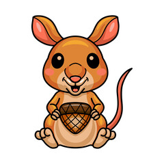 Cute little bandicoot cartoon holding an acorn