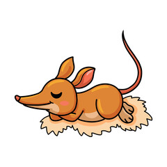 Cute little bandicoot cartoon sleeping