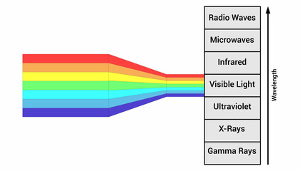 the electromagnetic spectrum diagram vector illustration