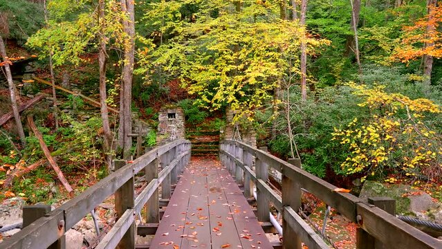 Walking across bridge in the woods during early fall