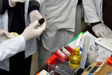 Potato Leaf DNA Extraction Procedure in Laboratory.