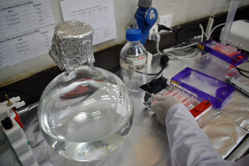 Potato Leaf DNA Extraction Procedure in Laboratory.