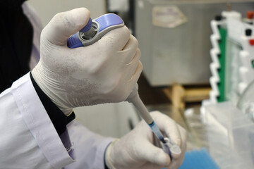 Potato Leaf DNA Extraction Procedure in Laboratory.