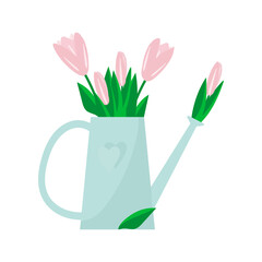 pink tulips in watering can