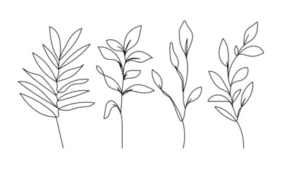 Botanical Line Art Vector Illustrations Set for Prins, Social Media, Icons. Floral Trendy Template Minimalist Style. Abstract Leaves Branch Line Art Hand Drawn Doodle Template.