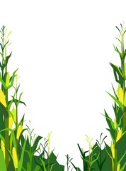 Harvest agricultural plant. Frame with place for text. Food product. Farmer farm illustration. Rural summer field landscape. Object isolated on white background. Vegetable garden cultivation. Vector