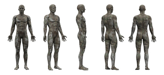 3d rendering illustration of yellow metal human anatomy