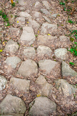 Old road made of stones in the forest. Ancient road. Cobbled path in the Caucasian forest. Texture.