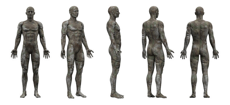 3d rendering illustration of yellow metal human anatomy