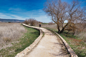 Woman walking in the national park of the tablas de Daimiel, ciudad real, spain