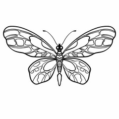 Butterfly - digital illustration in engraving style. Big butterfly with delicate wings on a white background graphic picture.