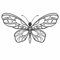 Butterfly - digital illustration in engraving style. Big butterfly with delicate wings on a white background graphic picture.