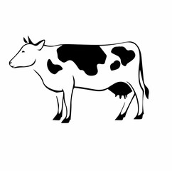 Holstein fresian patchwork cow black white