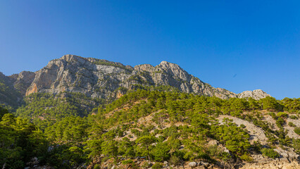 Mountain tops with conifers in Green Canyon in Turkey