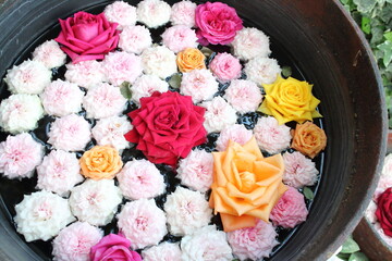 睡蓮鉢に入れた綺麗な薔薇