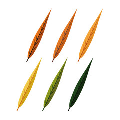 Willow leaves. Six autumn colorful willow leaves. Vector illustration isolated on a white background for design and web.