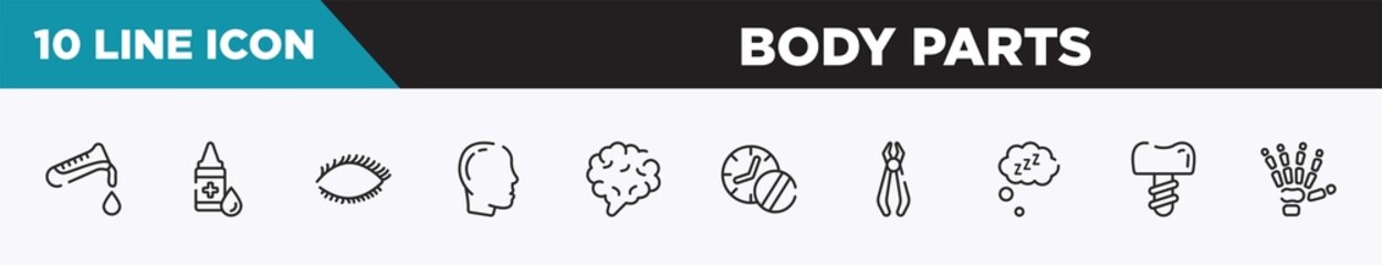 set of 10 outline body parts icons. editable thin line icons such as test tube, flask and drop of blood, drop of liquid, eye with lashes, male with bald hair side view, brain body organ, medicines