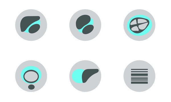 Set of Icon of Extended FAST Examination positive