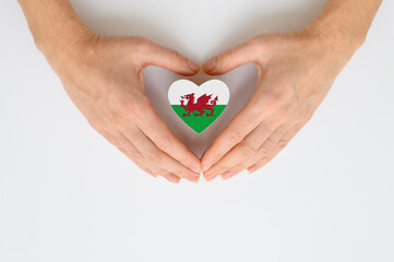 The national flag of Wales in female hands. The concept of patriotism, respect and solidarity with...