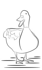 Illustration of a duck in black and white. Suitable for children coloring book.