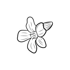 Obraz premium Botanical illustration. Line art flowers