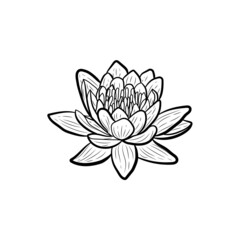 Lotus. Botanical illustration. Line art flowers