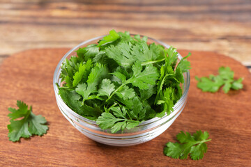 fresh cilantro or Chinese parsley on wooden table