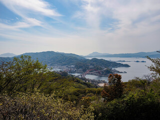 Obraz premium 江田島 瀬戸内海 かき筏 海の風景