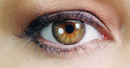 Obraz premium Take a journey through her eyes. Closeup beauty shot of a young womans eye.