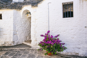 Fototapeta na wymiar Alberobello, Puglia. Urban landscape with the trulli, original and ancient houses of this region