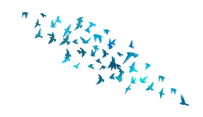 Fototapeta na wymiar A flock of blue birds. Vector illustration
