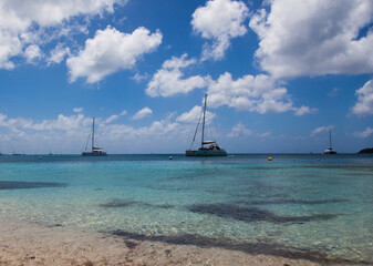 Obraz premium The waters of the island of Martinique with sailing yachts.