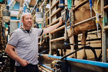 Shes a good weight. Cropped portrait of a male farmer weighing his cows in a dairy factory.