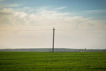 Fototapeta na wymiar fields agricultural dirt road power lines beautiful sky