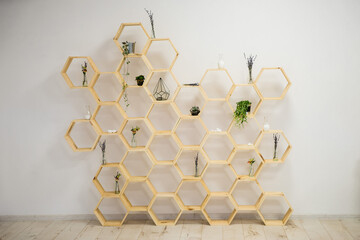 Fototapeta na wymiar wooden shelves in the form of honeycombs with greenery