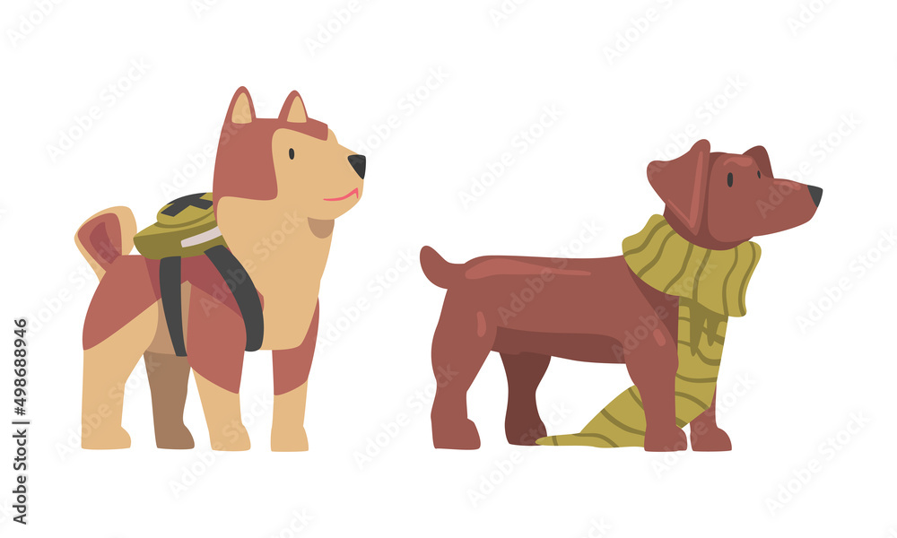 Sticker Funny dogs wearing scarf and backpack set. Cute pets dressed for carnival party cartoon vector illustration