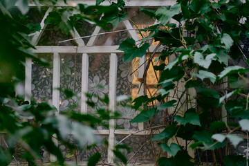 Naklejka na ściany i meble old window on the veranda in a wooden house