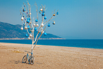 Beach composition with white tree and bicycle