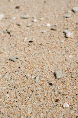 Fototapeta na wymiar Close up natural sand texture on beach.